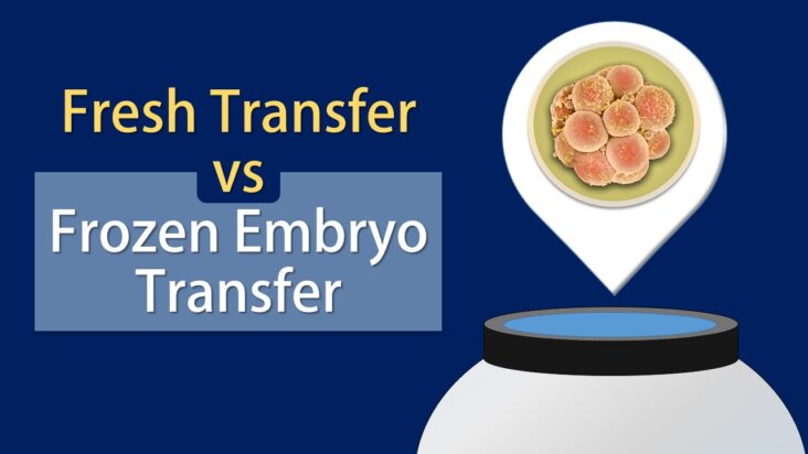 Frozen Embryo Transfer (FET) vs Fresh Transfer
